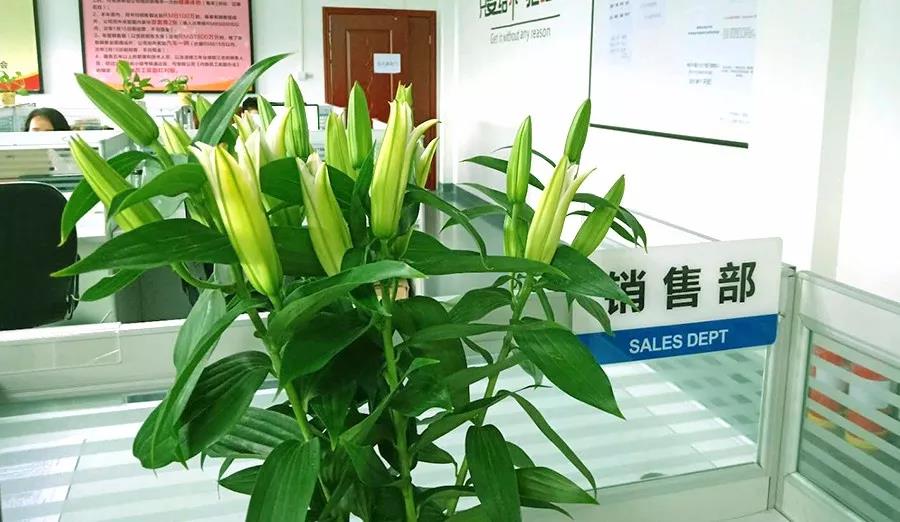 濃情七夕，最美祝福！